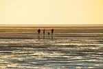 Strand - Ferienhaus Albatros 1a - Top-Hundeurlaub