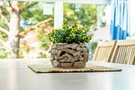 Wohnzimmer Dekoratives Detail - Ferienhaus 09 - Top-Hundeurlaub