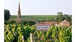 image/jpeg - Ferienhaus für 6 Personen (150 m²) in Sauternes - Top-Hundeurlaub