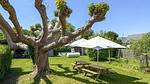 image/jpeg - Ferienhaus für 10 Personen (170 m²) in Payzac - Top-Hundeurlaub