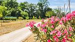 image/jpeg - Ferienhaus für 5 Personen (90 m²) in Saint-Maigrin - Top-Hundeurlaub