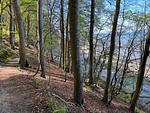 Landschaft - Villa 2. Heimat - Appartement Herzzeit - Top-Hundeurlaub