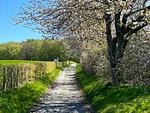 Landschaft - Villa 2. Heimat - Appartement Herzzeit - Top-Hundeurlaub