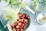 Dekoratives Detail - Villa Albatros - Appartement L3 Lohme Luxury Living - Top-Hundeurlaub