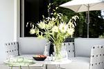 Terrasse - Villa Albatros - Appartement L3 Lohme Luxury Living - Top-Hundeurlaub