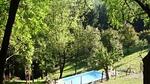 image/jpeg - Ferienwohnung für 2 Personen (50 m²) in Capolona - Top-Hundeurlaub
