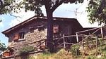 image/jpeg - Ferienwohnung für 2 Personen (50 m²) in Capolona - Top-Hundeurlaub
