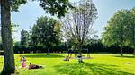 image/jpeg - Ferienhaus für 3 Personen (42 m²) in Heinkenszand - Top-Hundeurlaub