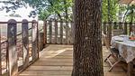 image/jpeg - Ferienhaus für 4 Personen (24 m²) in Mazeyrolles - Top-Hundeurlaub