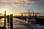 Strand - Ferienreihenhaus "Mobby Dick" Lale Andersen 4g Galerie - Top-Hundeurlaub