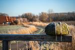 Landschaft - Ferienreihenhaus "Mobby Dick" Lale Andersen 4g Galerie - Top-Hundeurlaub