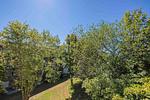 Gartenblick - Zwei-Zimmer-Apartment 51/13 - Top-Hundeurlaub