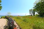 Landschaft - FeWo13-5: strandnah,Balkon,Sauna,Pool - Top-Hundeurlaub
