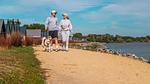 AreaSummer1KM - Ferienhaus für 5 Personen in Gemeente Enkhuizen - Top-Hundeurlaub