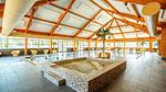 Untagged - Ferienhaus für 2 Personen (40 m²) in Otterlo - Top-Hundeurlaub