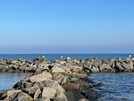 Strand - Ferienwohnung "Sandy Beach" in Schönberg-Kalifornien - Top-Hundeurlaub