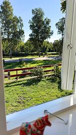 Fiskebon - Top-Hundeurlaub
