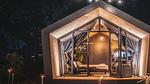 Untagged - Ferienhaus für 1 Person (40 m²) in Otterlo - Top-Hundeurlaub