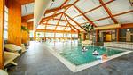 Untagged - Ferienhaus für 1 Person (40 m²) in Otterlo - Top-Hundeurlaub