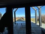 BeachHouse Black Pearl Nr. 401 - Top-Hundeurlaub