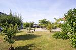 Garten - FeWo26: Balkon, Meerblick, Strand - Top-Hundeurlaub