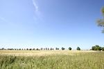 Landschaft - FeWo26: Balkon, Meerblick, Strand - Top-Hundeurlaub