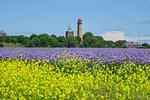 Landschaft - FeWo26: Balkon, Meerblick, Strand - Top-Hundeurlaub