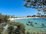 Strand - Am Yachthafen - Top-Hundeurlaub