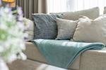 Dekoratives Detail - C-02 - Top-Hundeurlaub