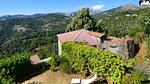 image/jpeg - Ferienhaus für 6 Personen (80 m²) in Marignana - Top-Hundeurlaub