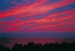 Strand - Westwind - Top-Hundeurlaub