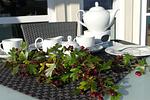Terrasse - Haus Poseidon - Top-Hundeurlaub