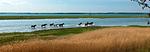 Landschaft - Heimathafen - Top-Hundeurlaub