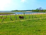 Landschaft - Heimathafen - Top-Hundeurlaub