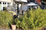 Ferienwohnung Stoneyard´s - Top-Hundeurlaub