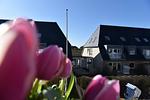 Ferienwohnung Mare Nostrum 8 - Top-Hundeurlaub