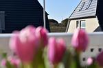Ferienwohnung Mare Nostrum 8 - Top-Hundeurlaub