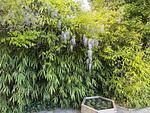 Garten - Kapitänshaus FeWo 2 - Top-Hundeurlaub