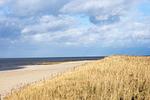 FeWo 4 - Top-Hundeurlaub