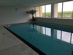 Pool - FeWo 4 - Top-Hundeurlaub