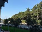 Balkon - FeWo A1.1 - Top-Hundeurlaub