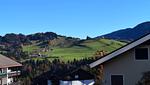Landschaft - "Hündleblick", Oberstaufen-Steibis - Top-Hundeurlaub