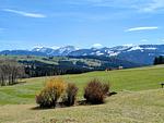 "Zur kuuhlen Aussicht", Oberreute - Top-Hundeurlaub