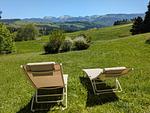 Gartenblick - "Zur kuuhlen Aussicht", Oberreute - Top-Hundeurlaub