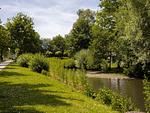 Landschaft - FeWo Friesenmuschel - Hooksiel - Top-Hundeurlaub