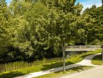 Landschaft - FeWo Friesenmuschel - Hooksiel - Top-Hundeurlaub