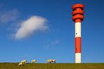 Landschaft - Strandloft - Top-Hundeurlaub