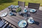 Terrasse - Dünenbraut - Top-Hundeurlaub