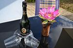Terrasse - Blauer Stern - Top-Hundeurlaub