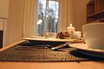 Dekoratives Detail - Muschelsucher - Top-Hundeurlaub